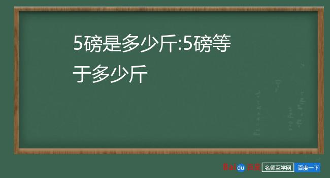 一磅等于多少克_磅等于多少克_磅与克换算