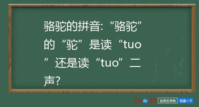 骆驼的拼音:骆驼的驼是读tuo还是读tuo二声?