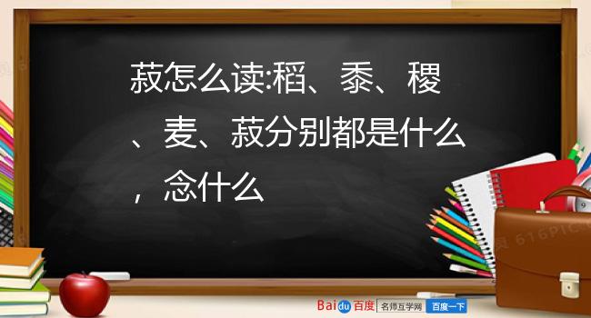 菽怎么读:稻,黍,稷,麦,菽分别都是什么,念什么