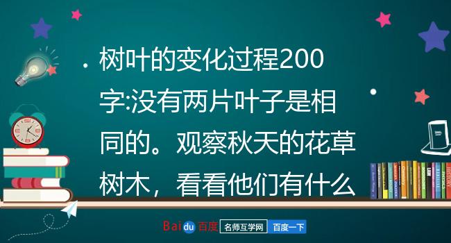 秋天树叶变化过程图片图片