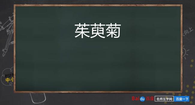 茱萸菊